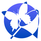 Butterfly Hunt Game